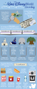 DisneyWorld-Infographic